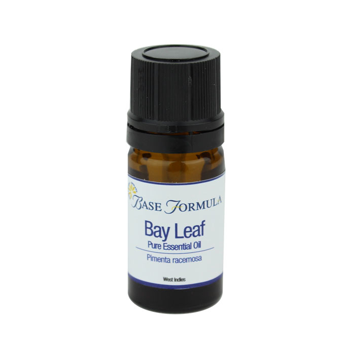 100 pure Bay Leaf (Pimenta racemosa) Essential Oil